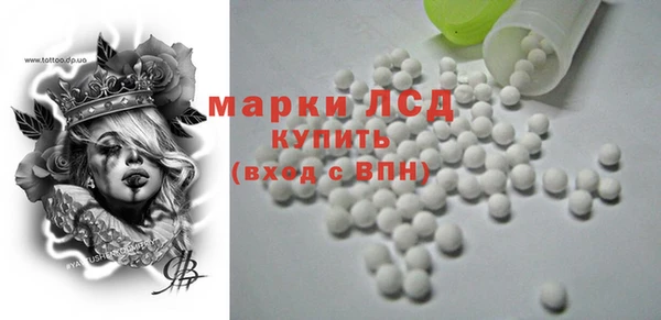 индика Алексин
