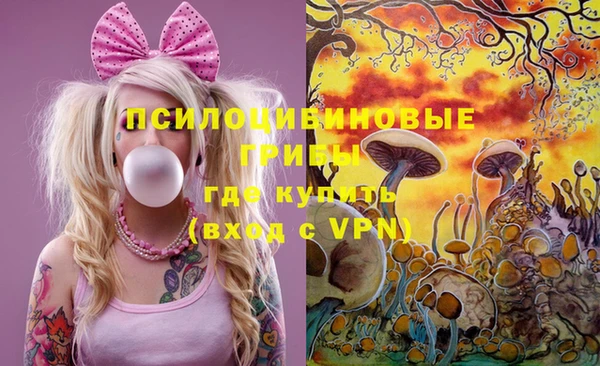 mdpv Армянск