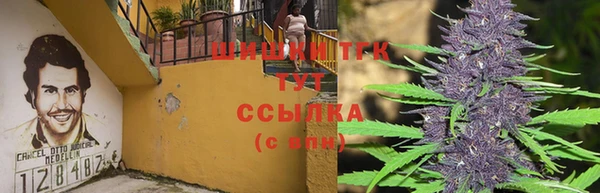 прущая мука Арсеньев
