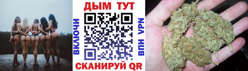 Канабис ГИДРОПОН  Кириши 